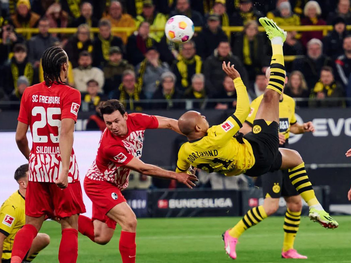 ntortmoynt-fraimpoyrgk-231124