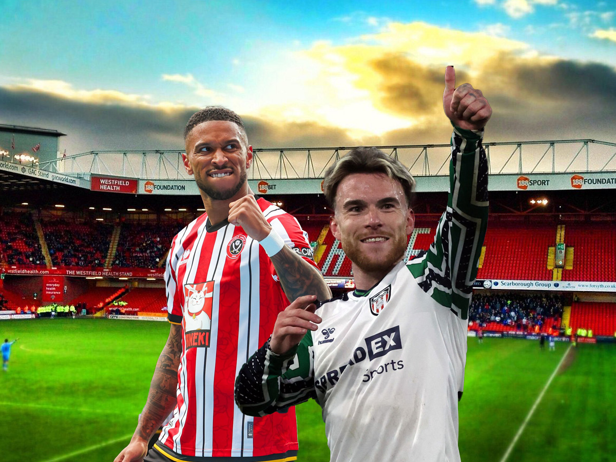 sefilnt-gioynaitent-santerlant-291124