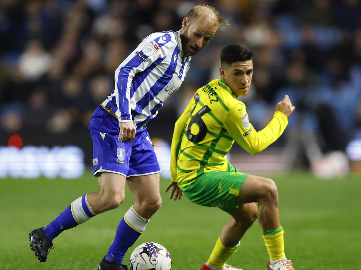 sefilnt-goyensntei-norits-051124