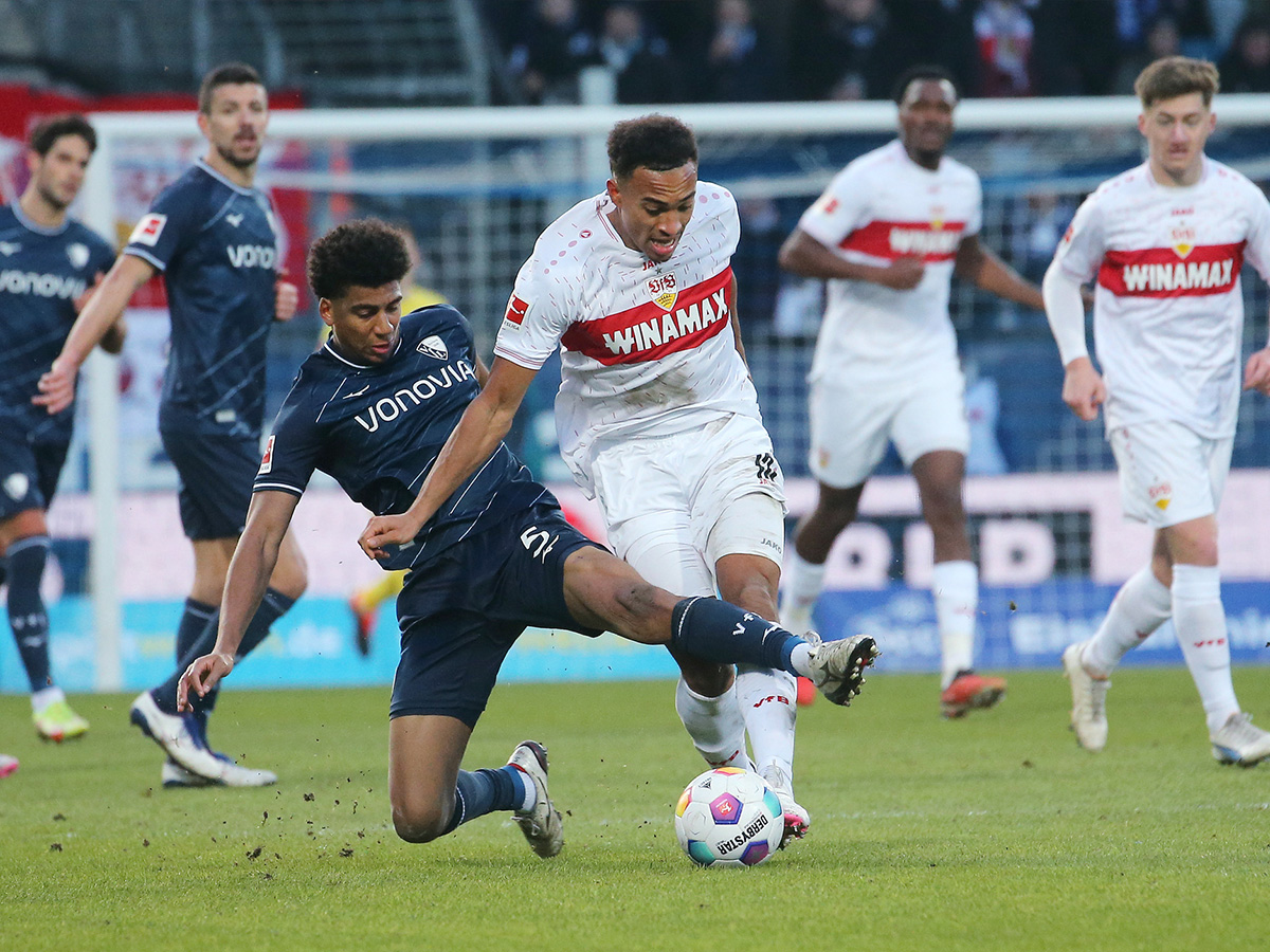 stoytgardi-mpoxoym-231124