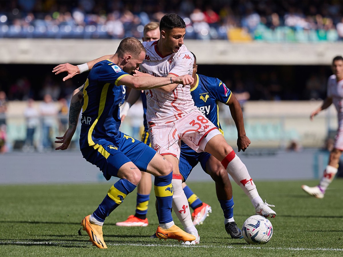 fiorentina-verona-101124