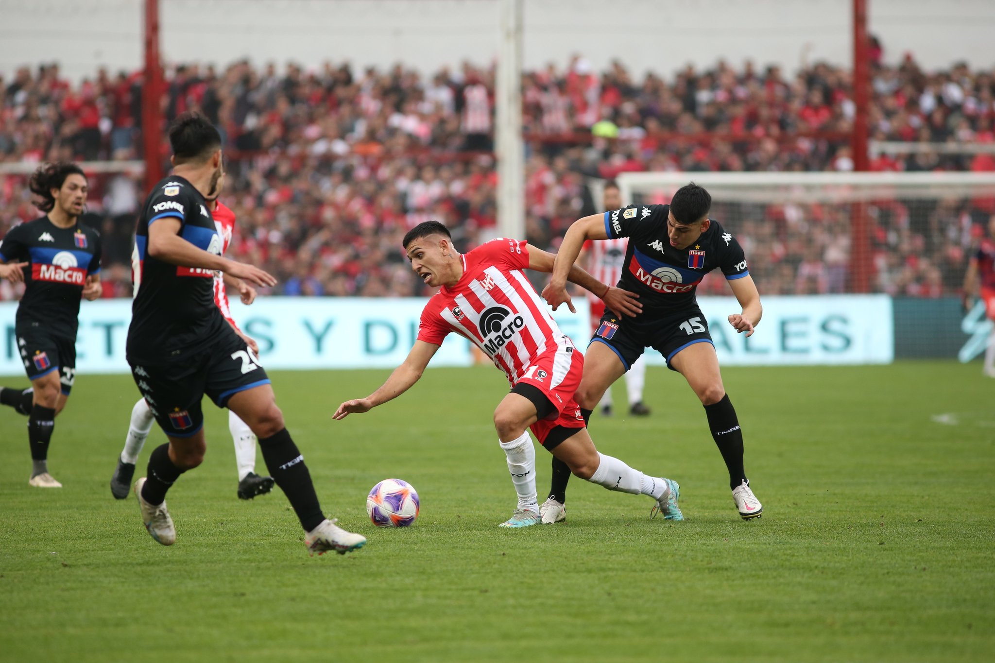 tigkre-institoyto-241124