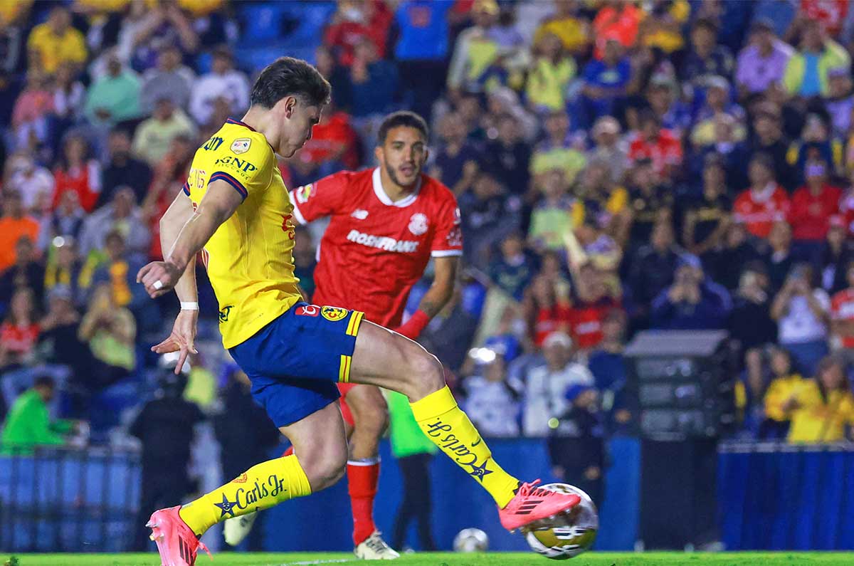 toloyka-klamp-amerika-011224