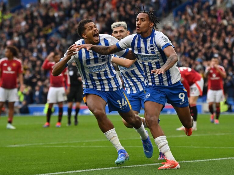 οι-γλάροι-τσιμπούν-τις-μέλισσες-351023