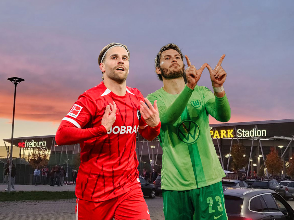 fraimpoyrgk-volfsmpoyrgk-131224