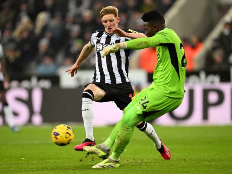 καρακάξες-έτοιμες-να-γκρεμίσουν-π-351387