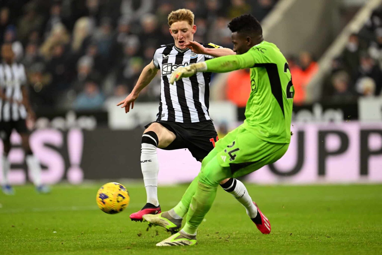 «Καρακάξες» έτοιμες να… γκρεμίσουν παραδόσεις