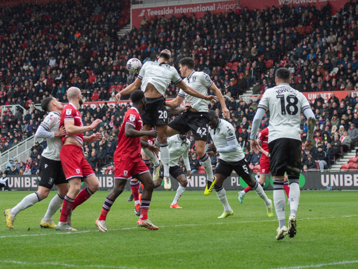 mintlesmpro-sefilnt-goyensntei-261224