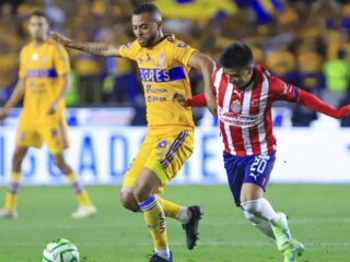 Γουαδαλαχάρα - Τίγκρες