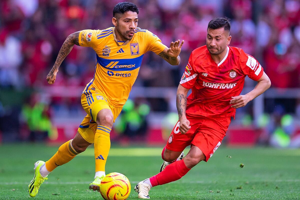 toloyka-tigkres-020225