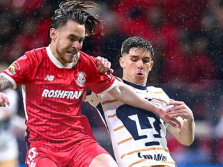 Πούμας - Τολούκα