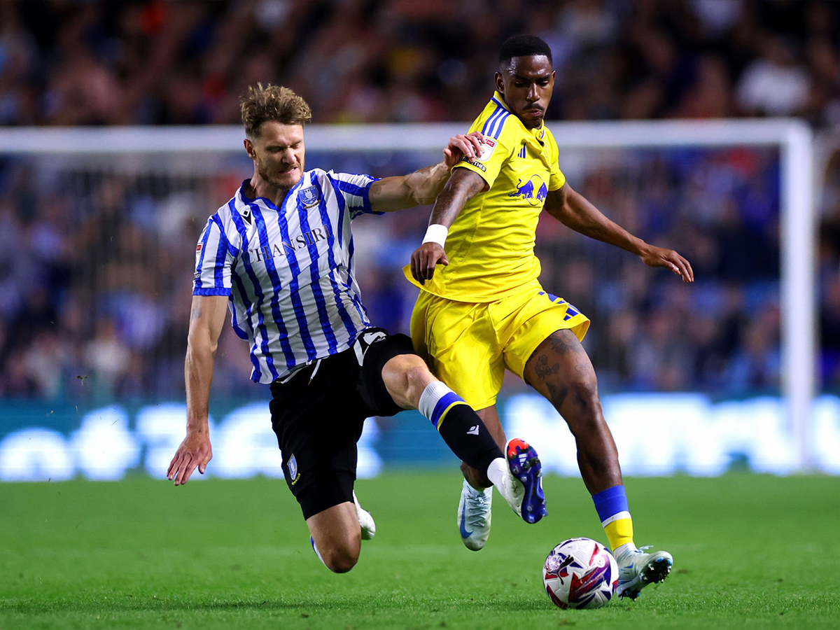 lints-sefilnt-goyensntei-190125