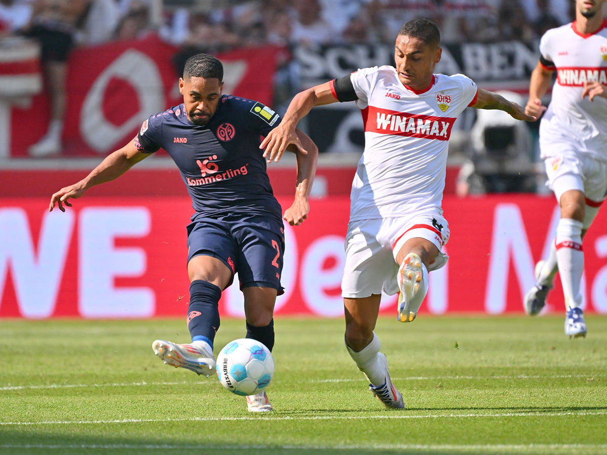 maints-stoytgardi-250125