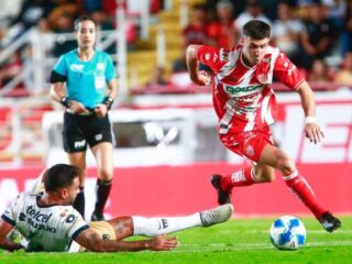 Πούμας - Νεκάξα