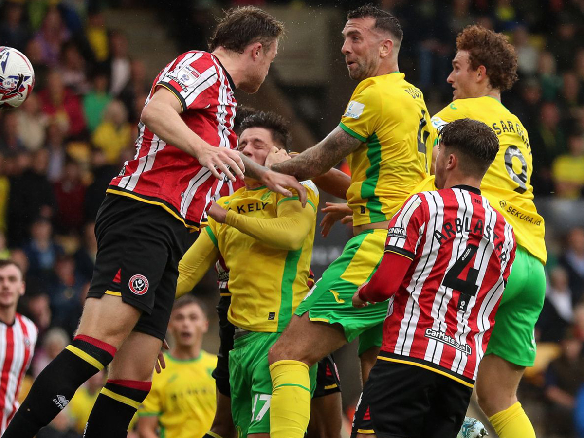 sefilnt-gioynaitent-norits-180125