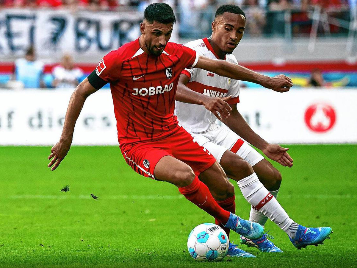 stoytgardi-fraimpoyrgk-180125