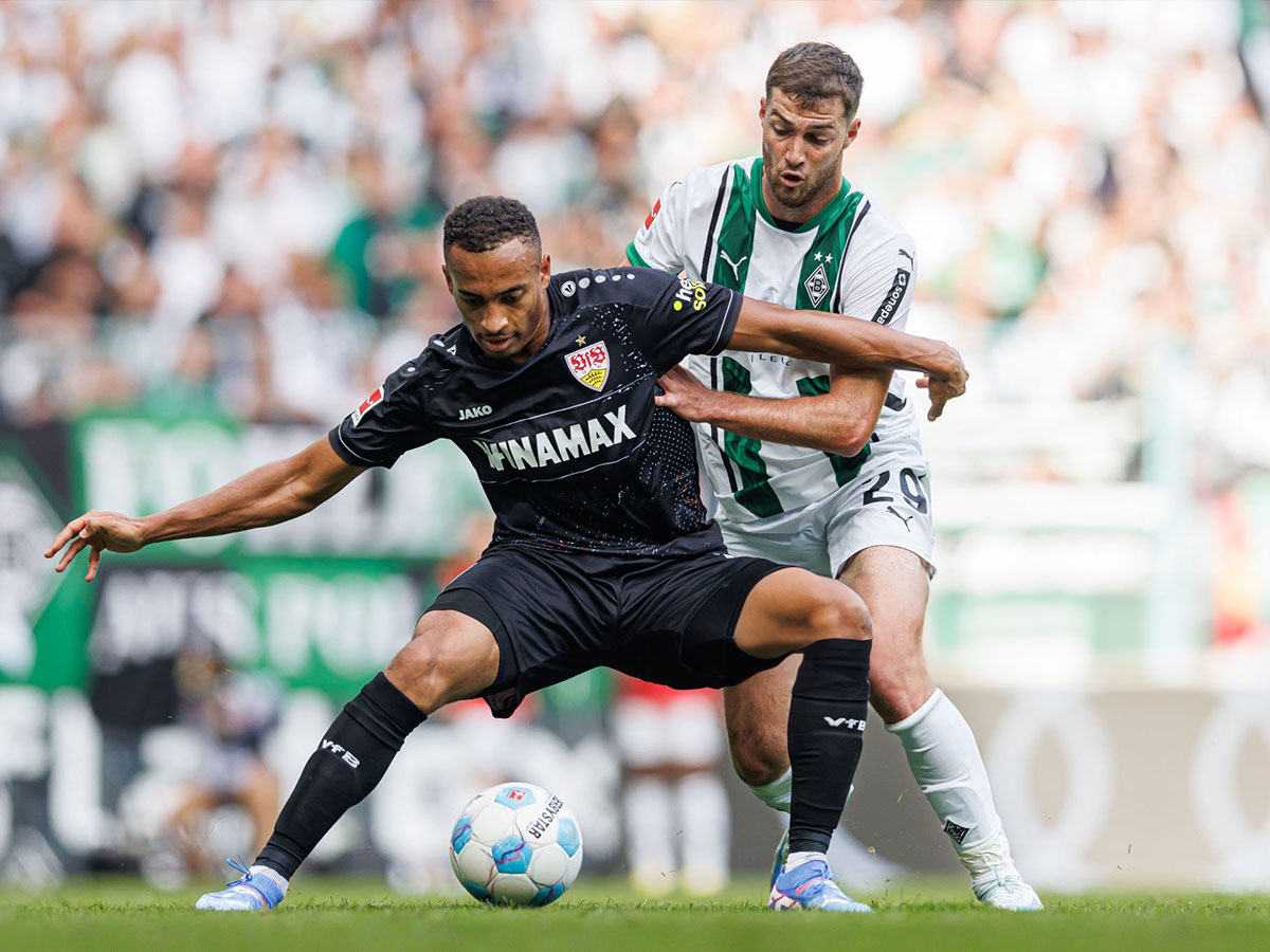 stoytgardi-gklantmpax-010225