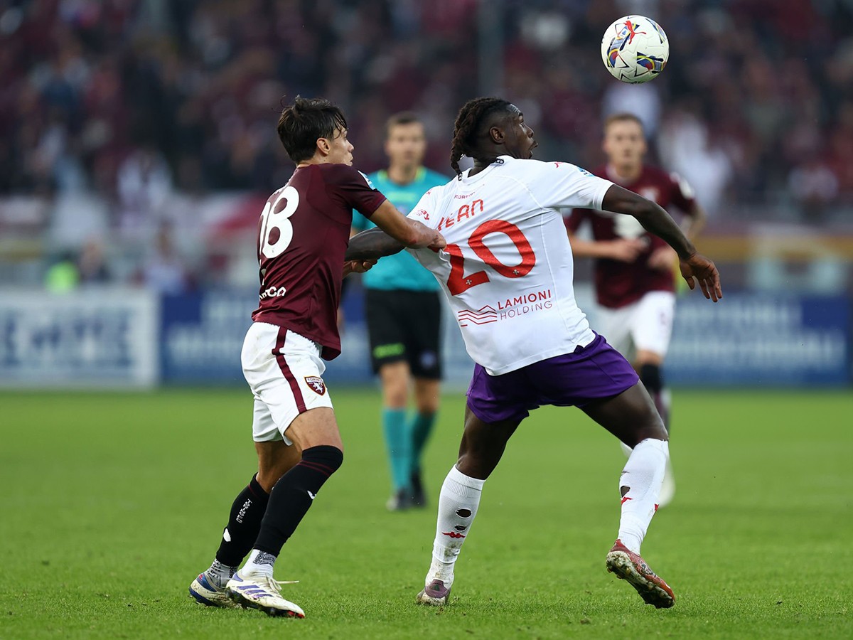 fiorentina-torino-190125