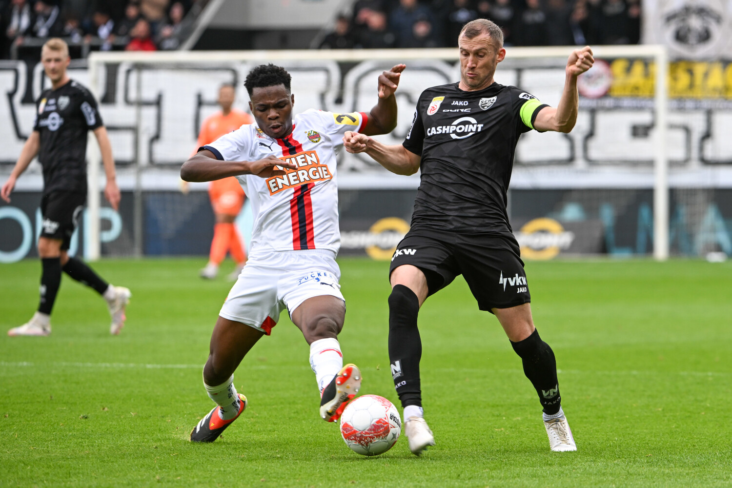 rapint-viennis-altax-010325