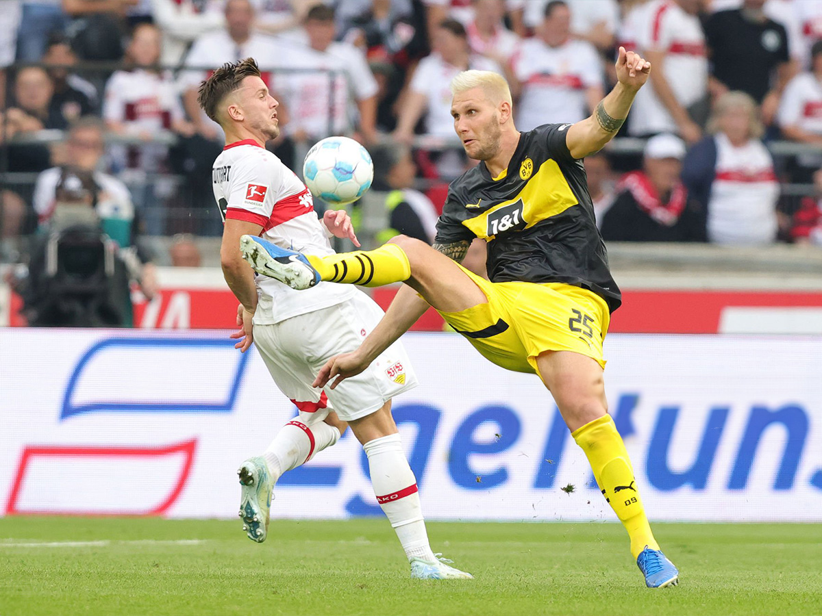 ntortmoynt-stoytgardi-080225