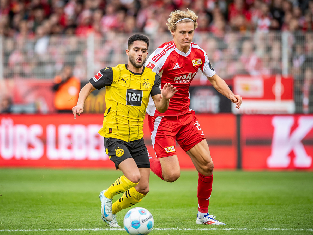 ntortmoynt-oynion-verolinoy-220225