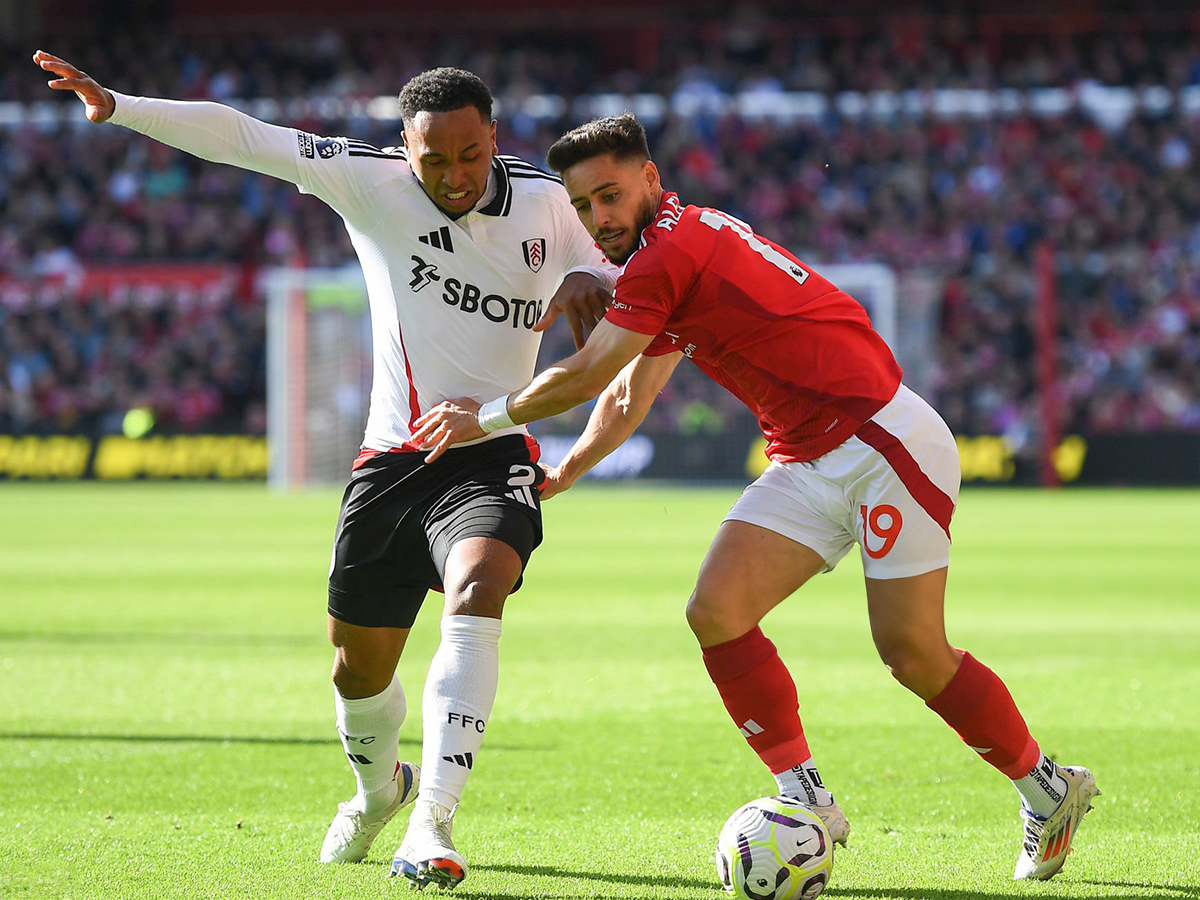 foylam-notigxam-150225