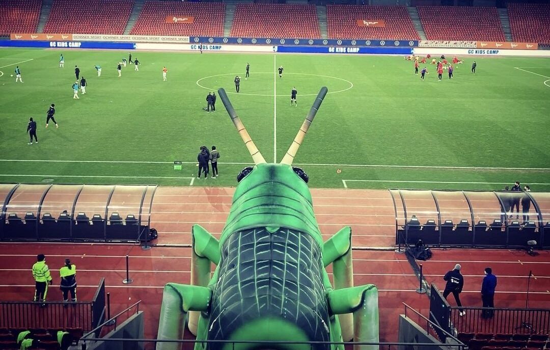 Οι ακρίδες… ξύπνησαν!