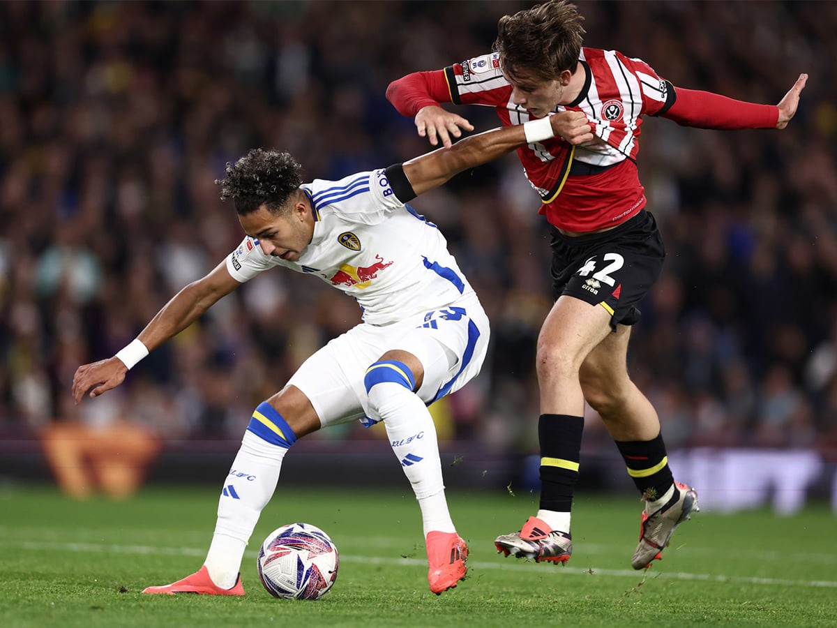 sefilnt-gioynaitent-lints-240225