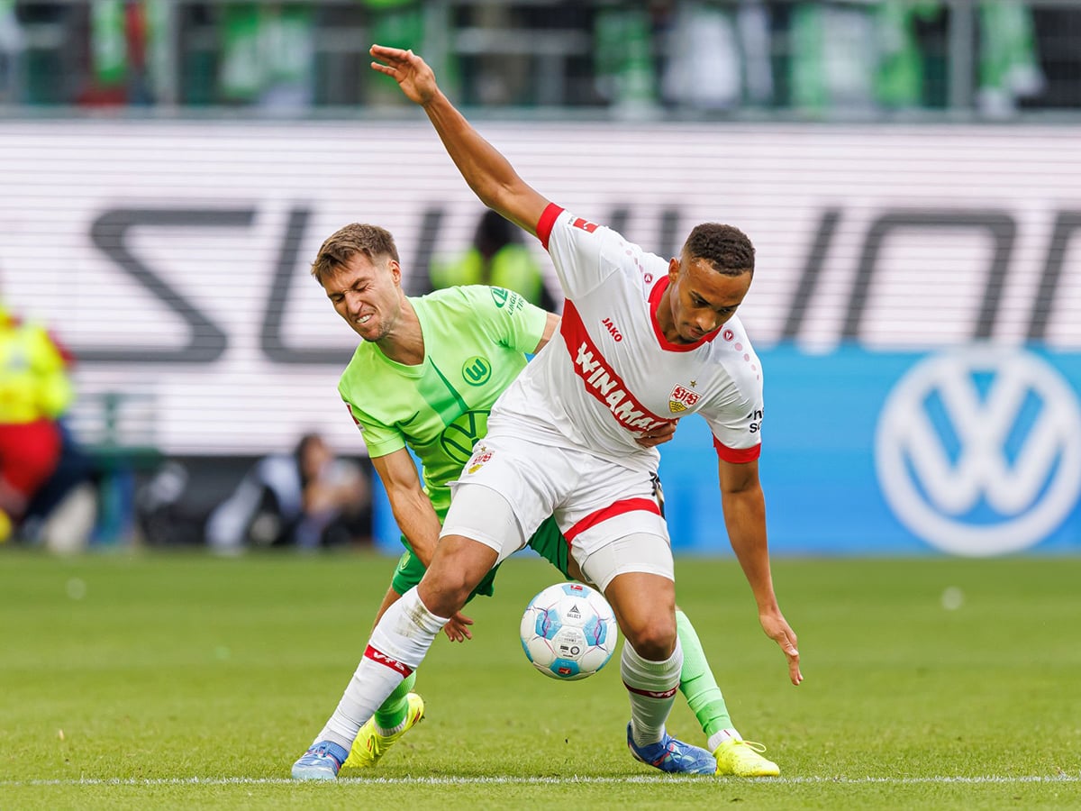 stoytgardi-volfsmpoyrgk-150225