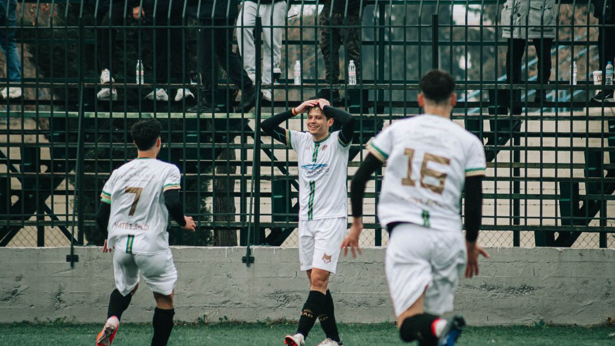 ΥΛΤΕΞ ΛΥΚΟΙ