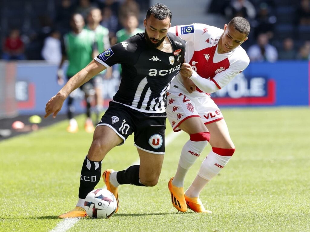 Προγνωστικά Campora