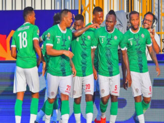 Κεντρική Αφρικανική Δημοκρατία - Μαδαγασκάρη