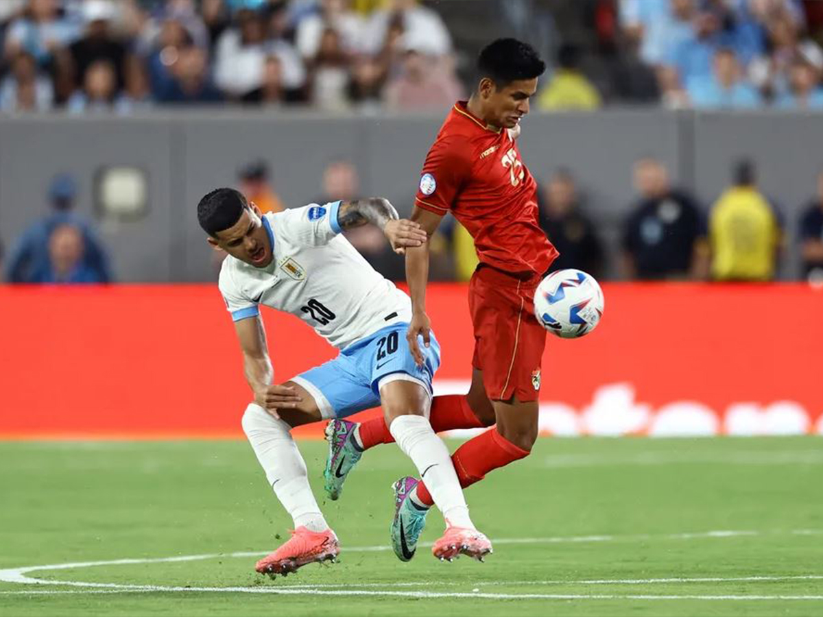 volivia-oyroygoyai-250325