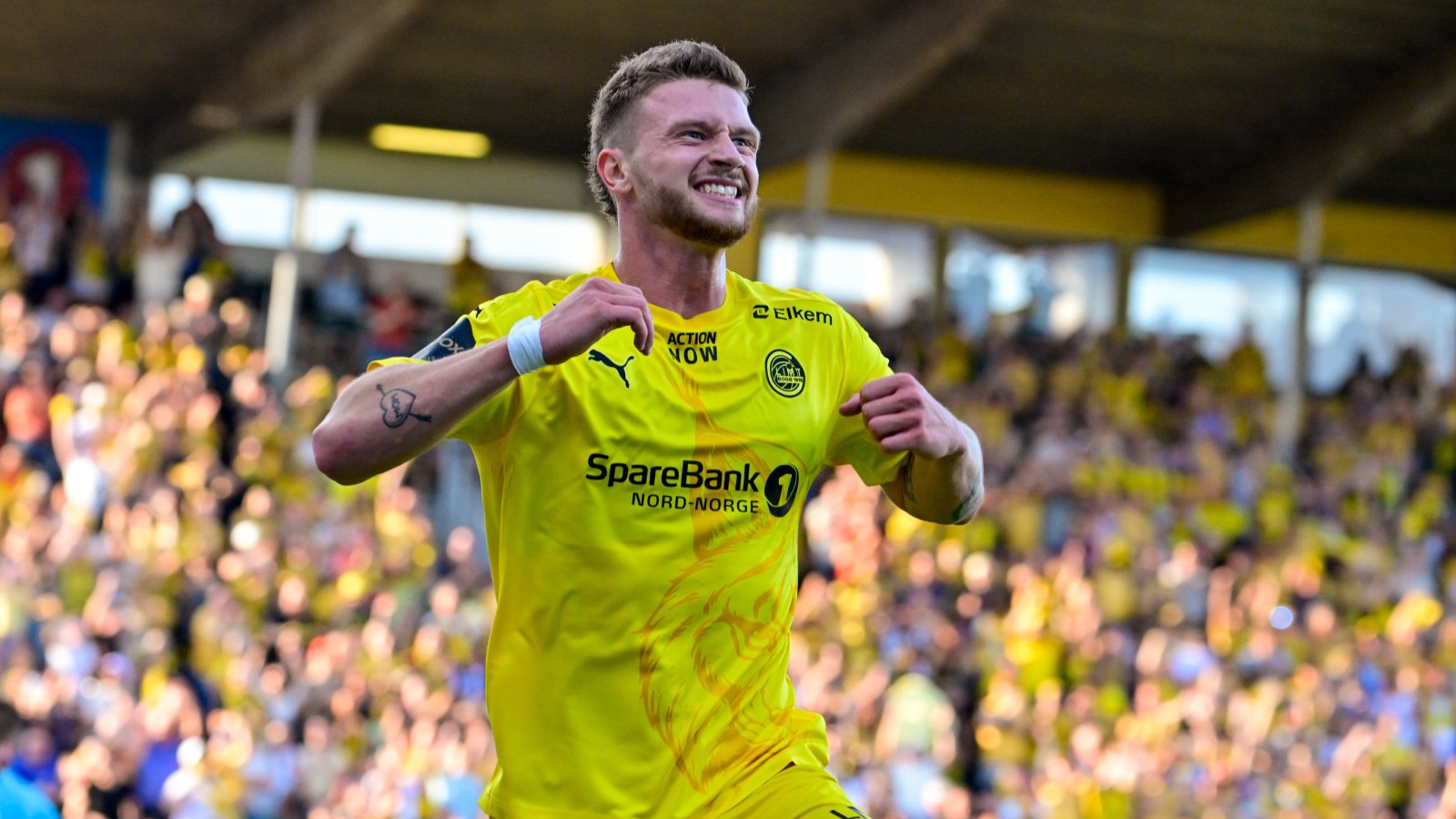 χογκ μπόντο γκλιμτ