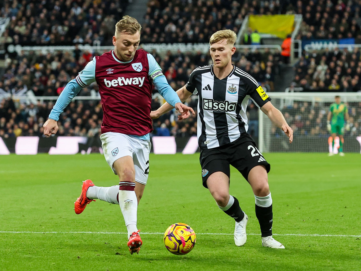 goyest-xam-nioykastl-100325