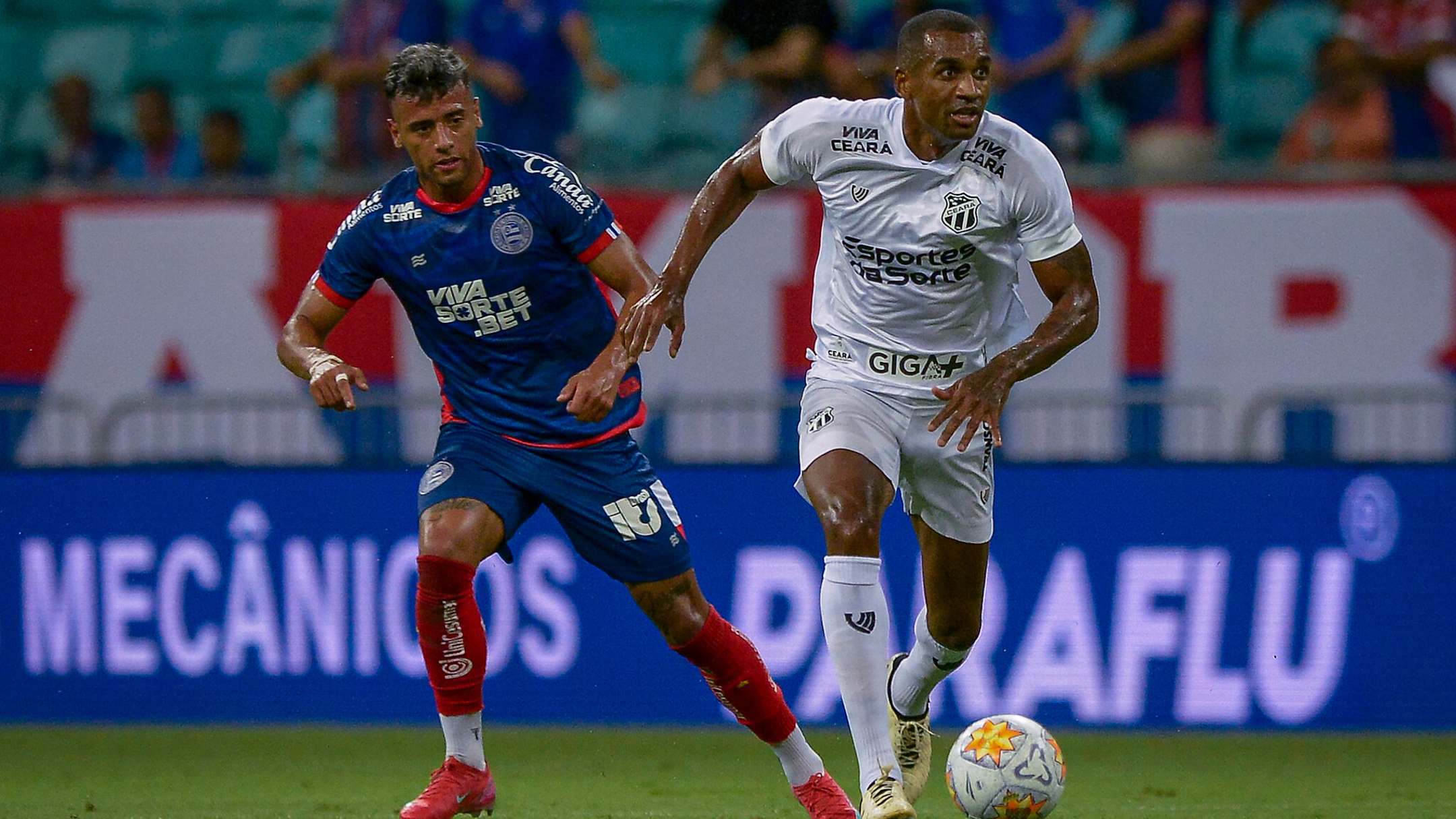 seara-palmeiras-010525