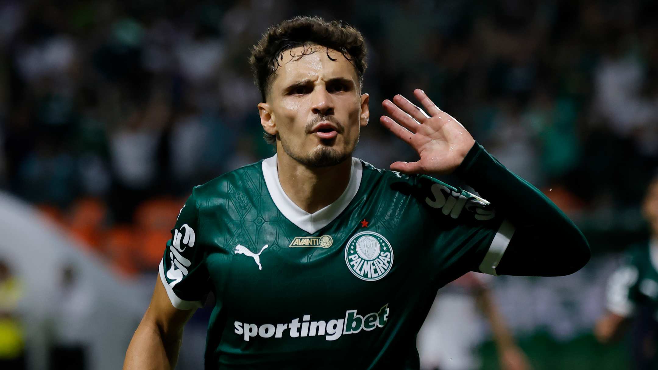 palmeiras-sero-portenio-100425