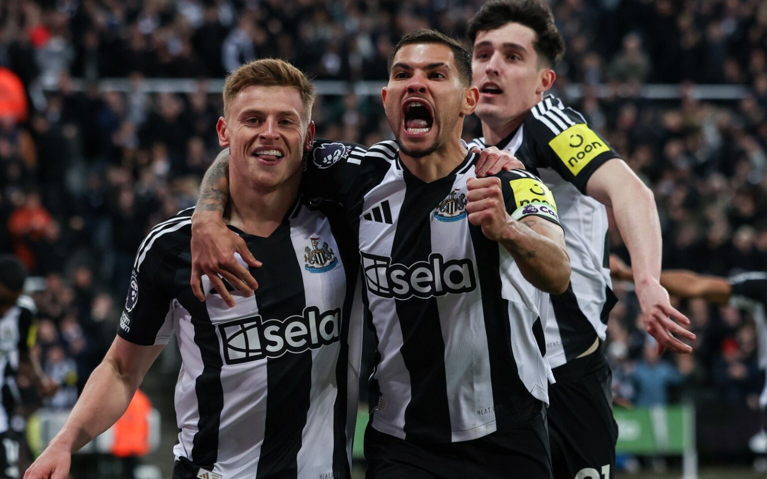 Οι «καρακάξες» θέλουν και σεντόνι