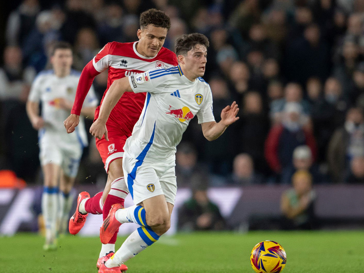 mintlesmpro-lints-080425