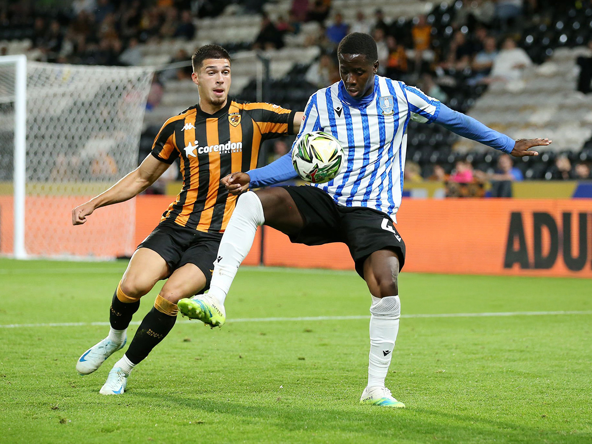 sefilnt-goyensntei-xal-050425