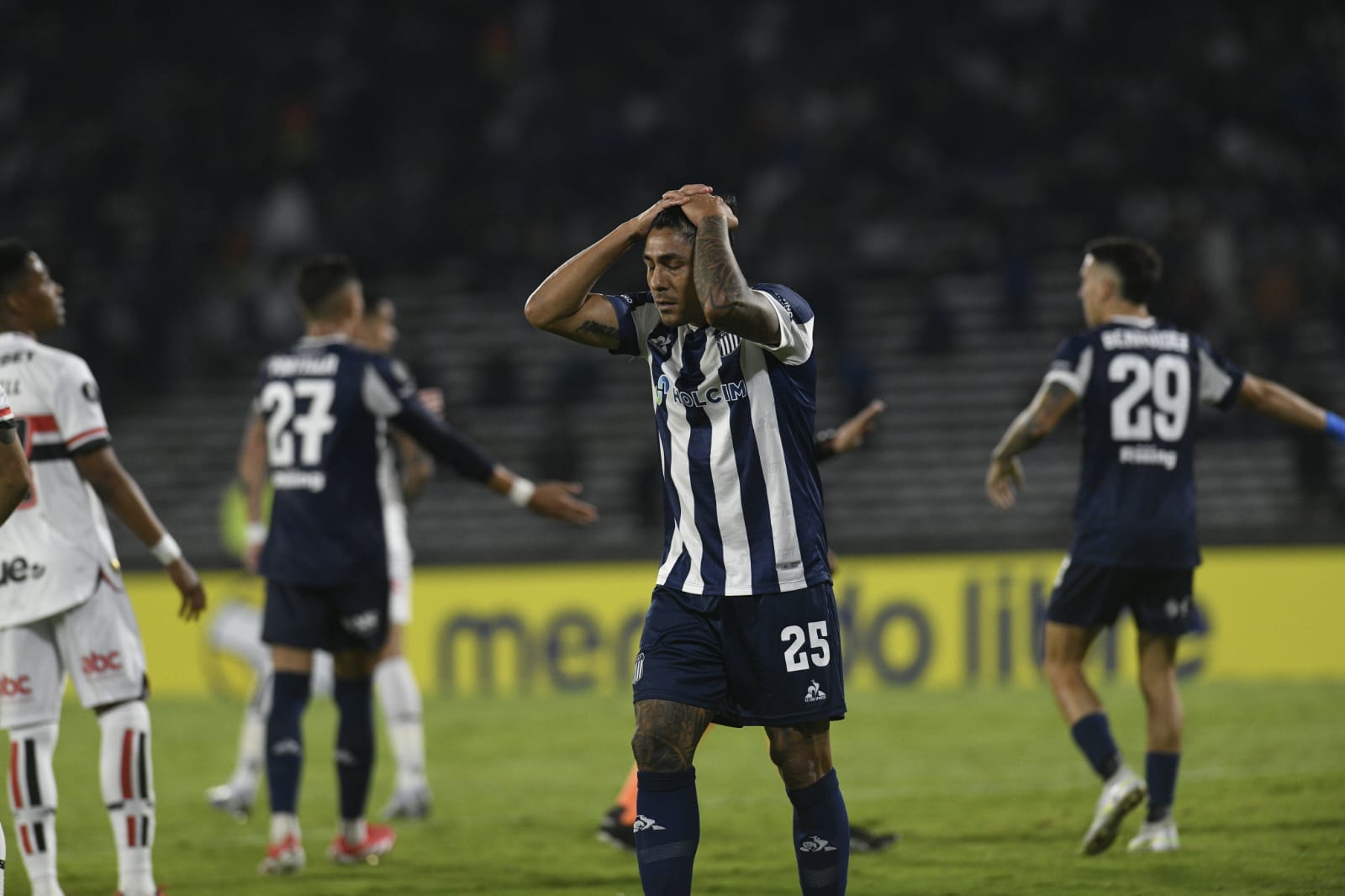 tageres-ximnasia-la-plata-060425