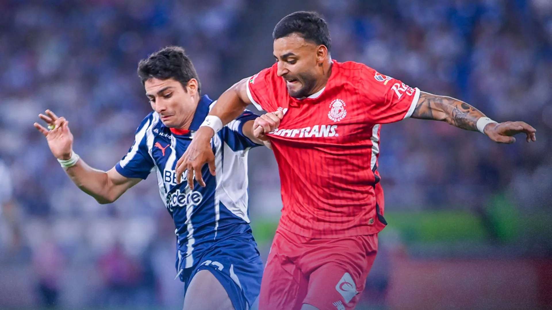 toloyka-monterei-110525