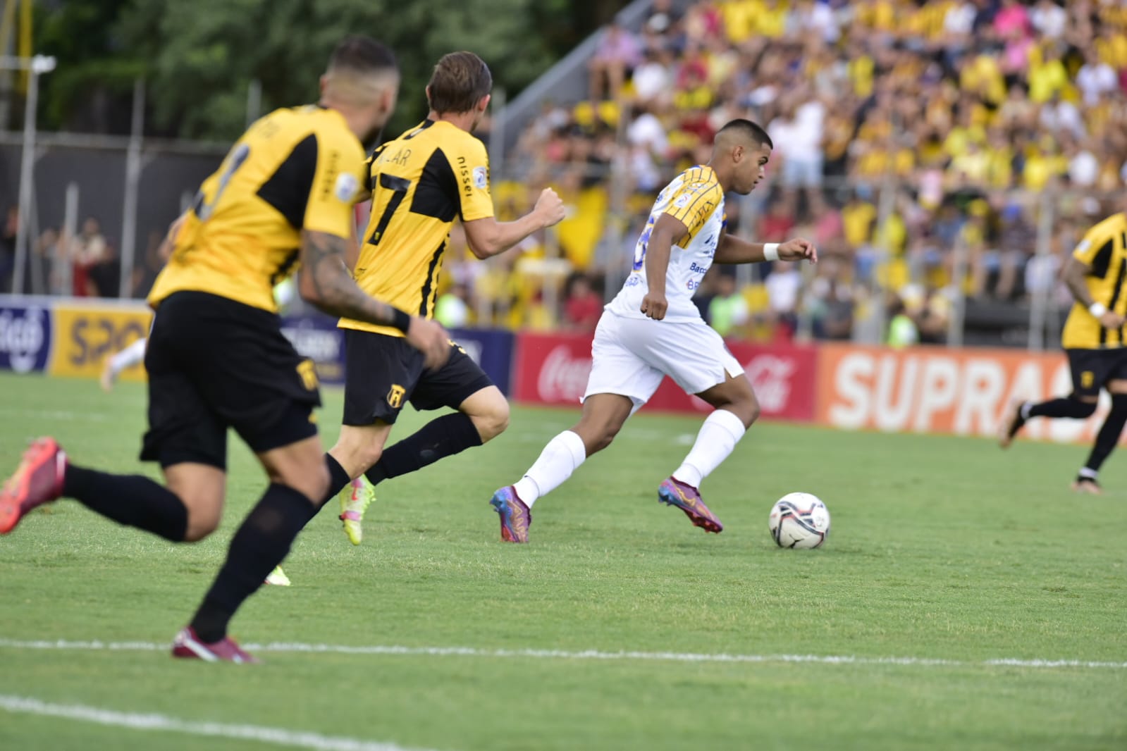 gkoyarani-asoynsion-mposton-river-290525