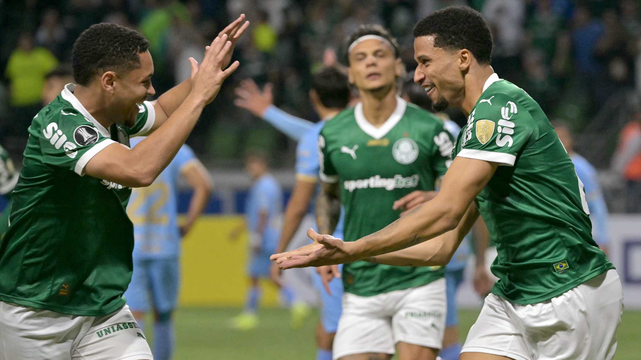 palmeiras-seara-230525