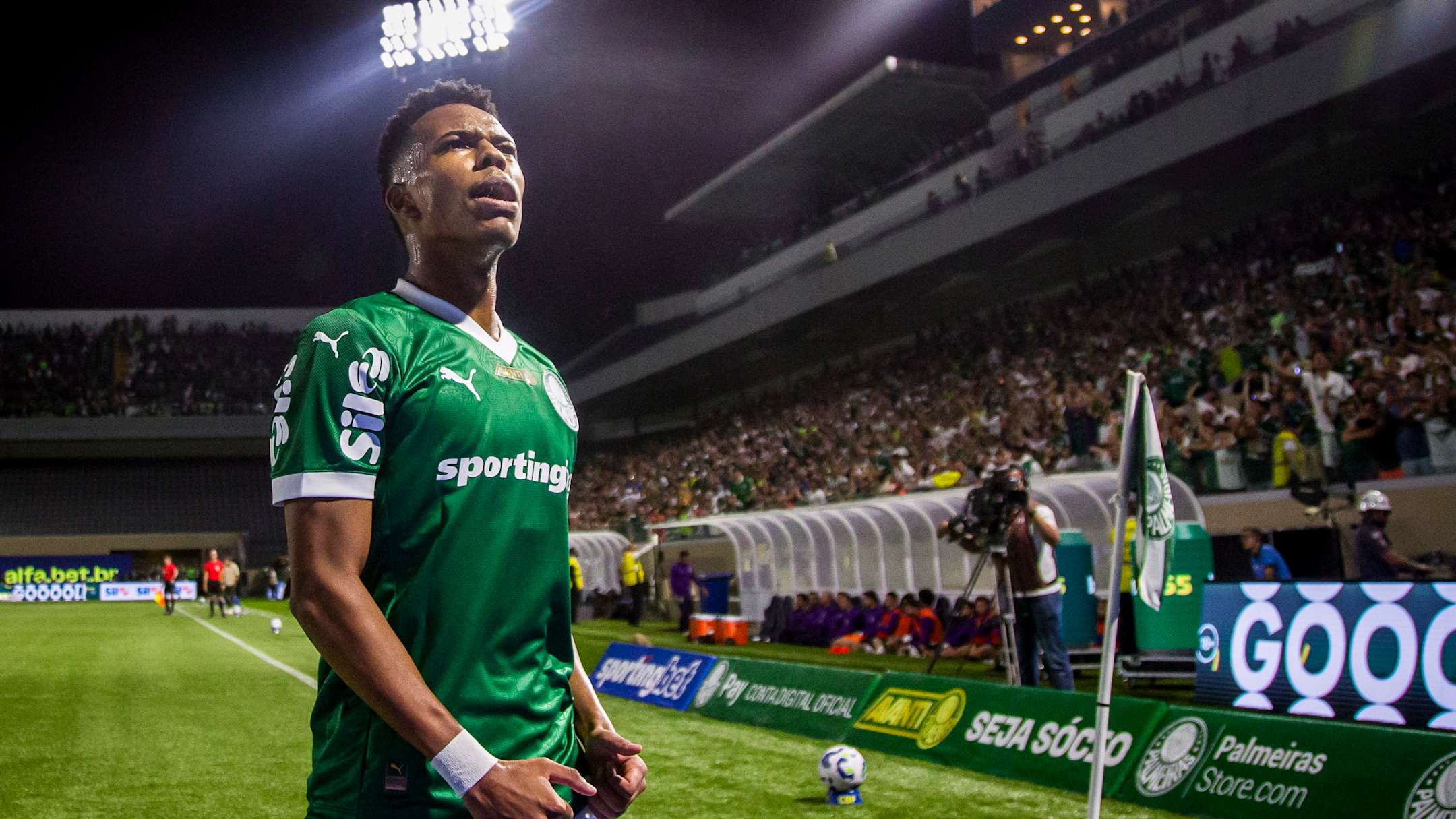 palmeiras-flamengko-250525