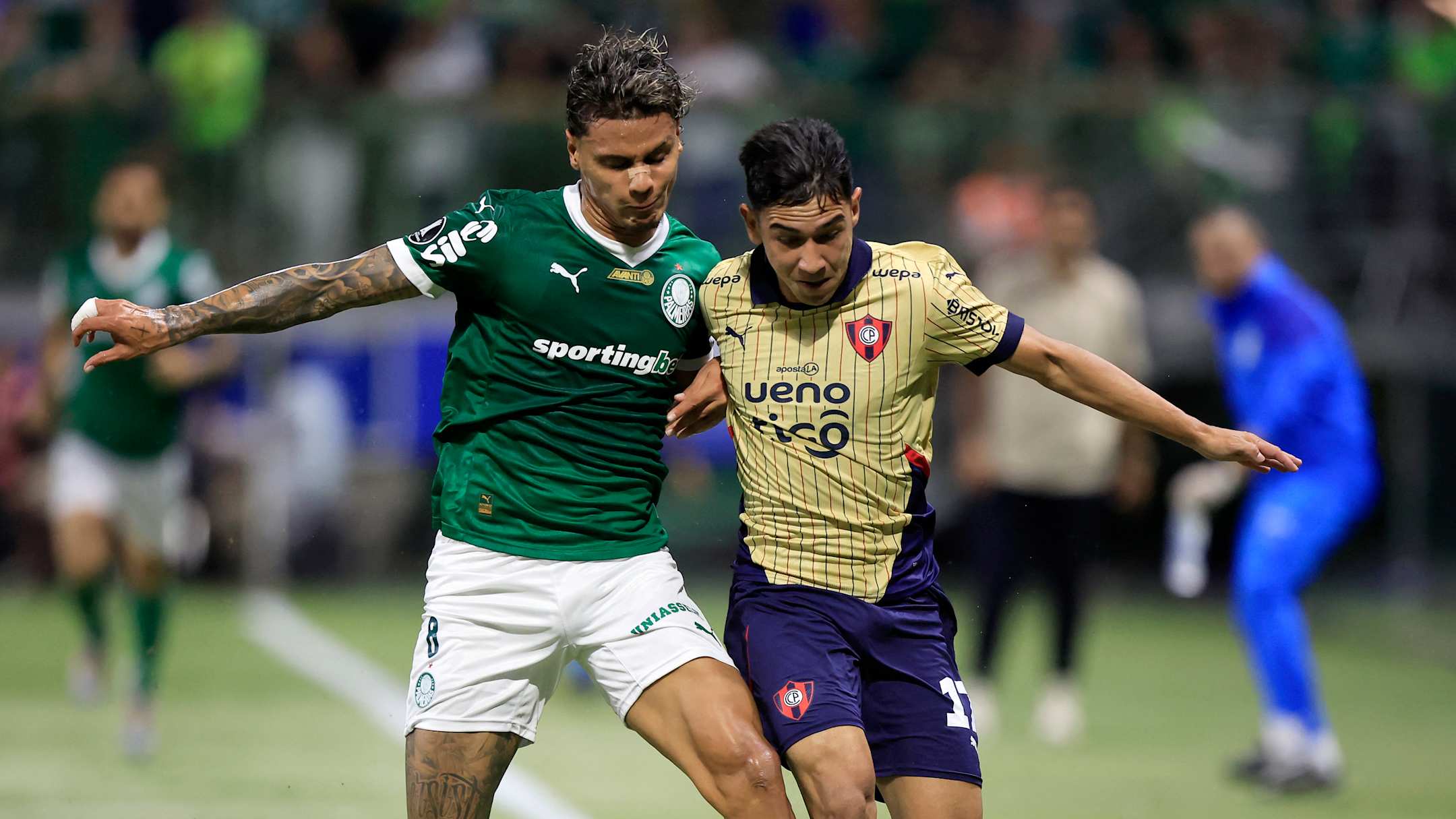 palmeiras-sao-paoylo-110525