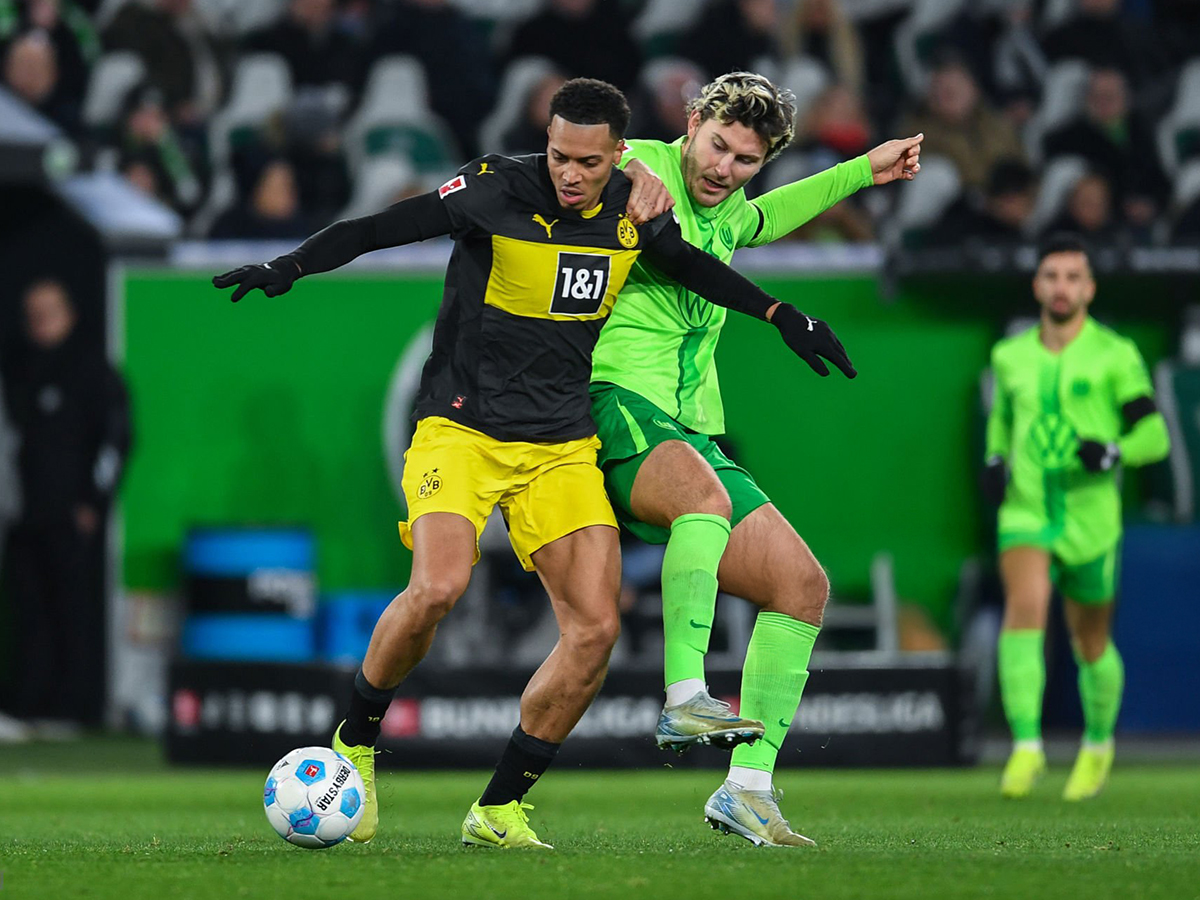 ntortmoynt-volfsmpoyrgk-030525