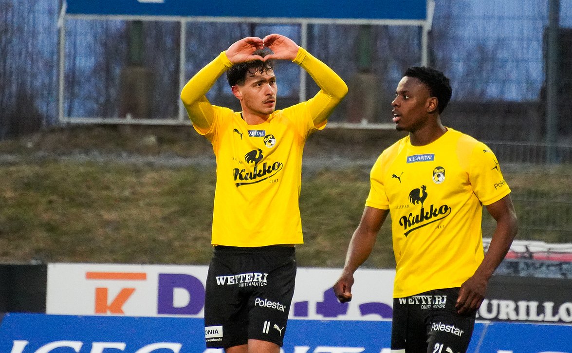 koyopio-kotka-100525