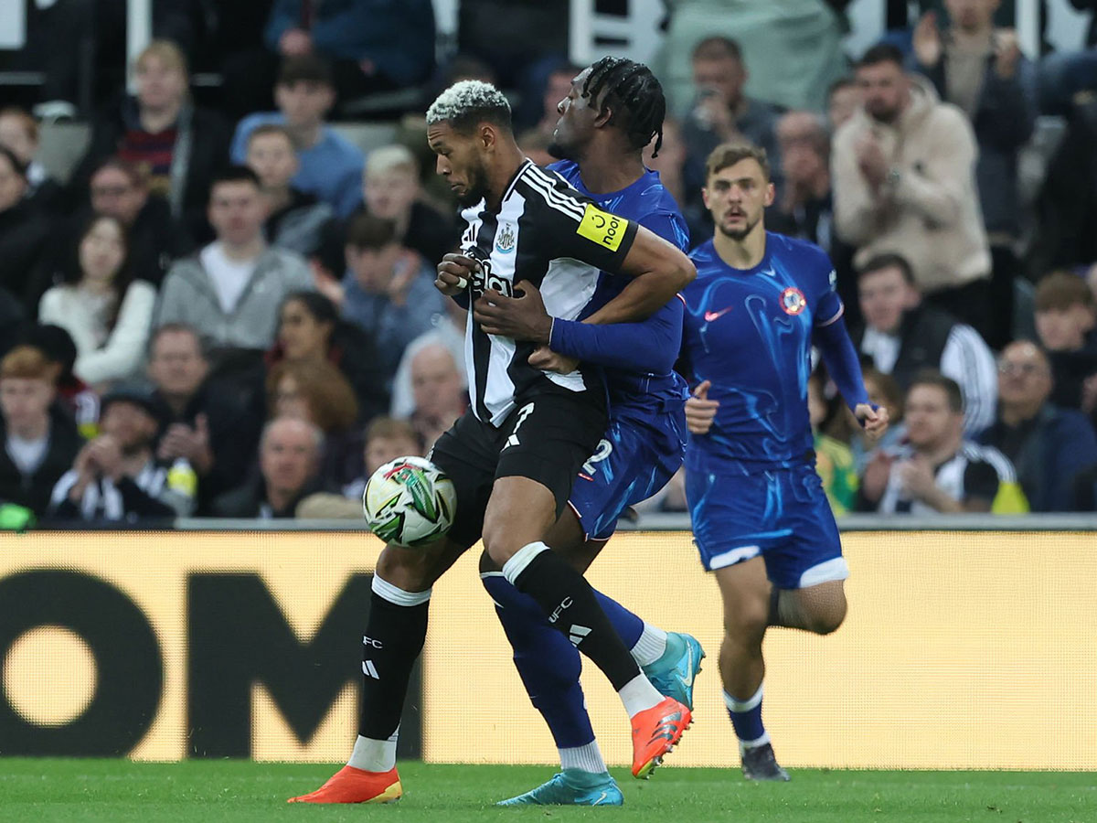 nioykastl-tselsi-110525