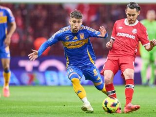 Τίγκρες - Τολούκα